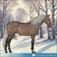 Horse Color:Silver Brown Dun Varnish 
