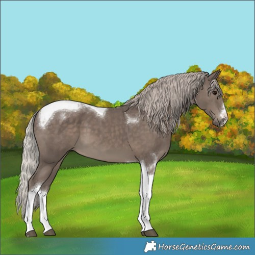 Horse Color:Silver Black Tobiano