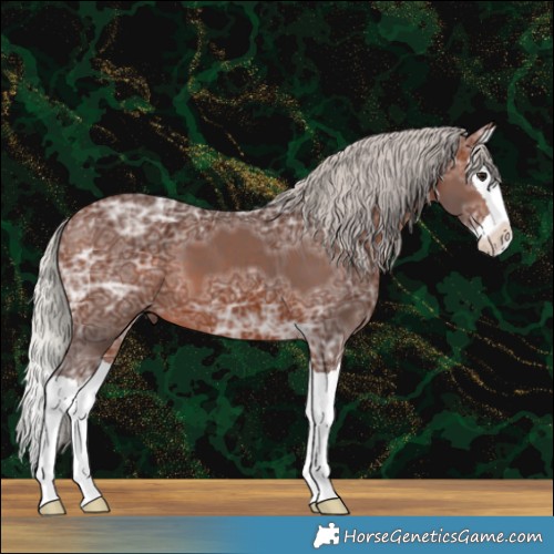 Horse Color:Silver Brown Ice Splash