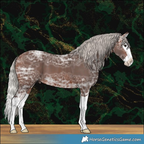 Horse Color:Silver Brown Ice Splash