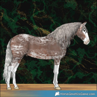 Horse Color:Silver Brown Ice Splash