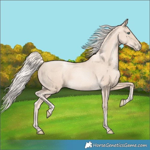 Horse Color:Gold Cream Champagne Pearl 
