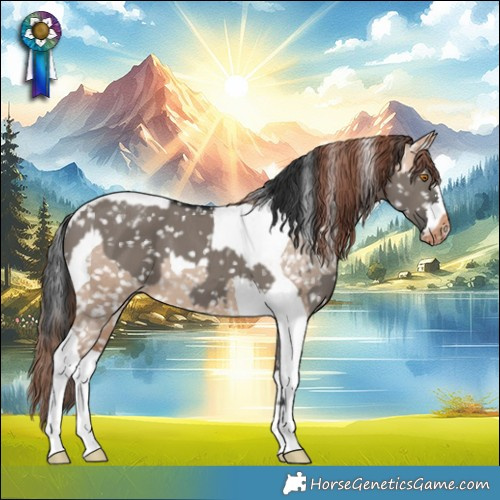 Horse Color:Grullo Appaloosa  and Sable Champagne Dun Tobiano Appaloosa 