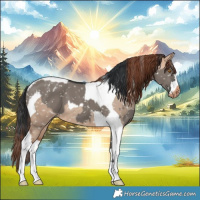 Horse Color:Grullo Appaloosa  and Sable Champagne Dun Tobiano Appaloosa 