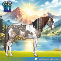 Horse Color:Grullo Blanket and Sable Champagne Dun Tobiano Blanket