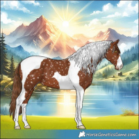 Horse Color:Chestnut Tobiano Snowflake Varnish 