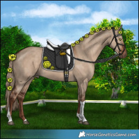 Horse Color:White Spotted Liver Red Dun Tobiano