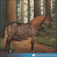Horse Color:Liver Red Dun Brindle 
