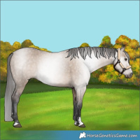 Horse Color:Gray Liver Red Dun Varnish