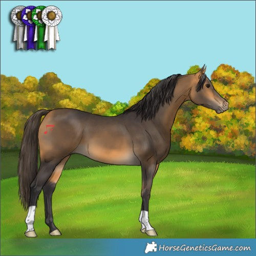 Horse Color:Buckskin