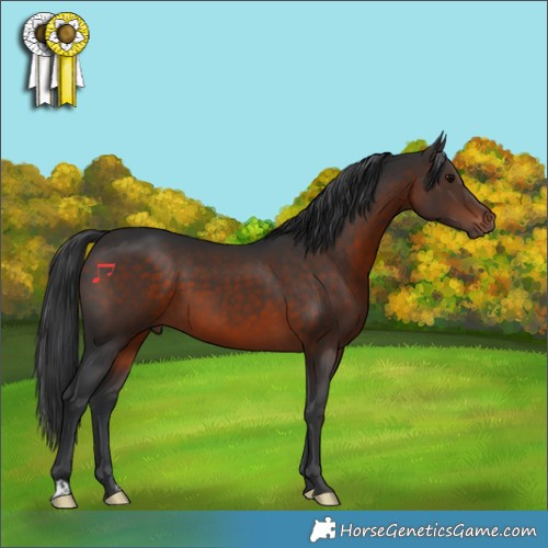 Horse Color:Brown 