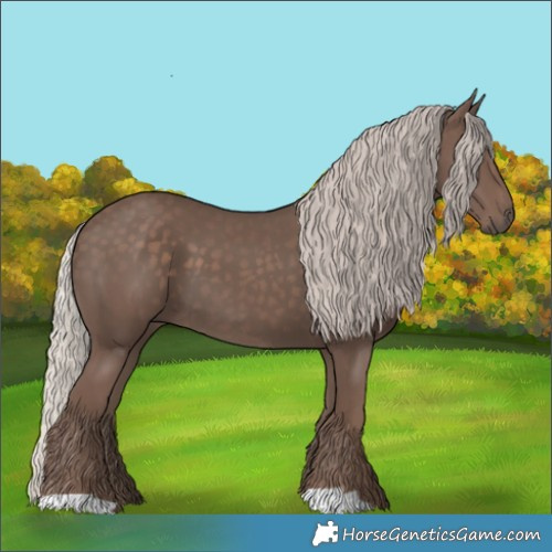 Horse Color:Silver Black 