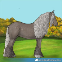 Horse Color:Silver Smoky Black 