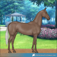 Horse Color:Silver Black 