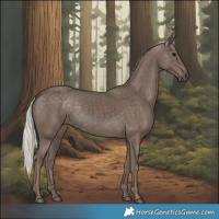Horse Color:Silver Black 