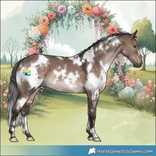Horse Color:White Spotted Brown Dun 