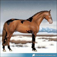 Horse Color:Gray Void Gold Champagne Tobiano 