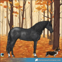 Horse Color:Black Mushroom Rabicano