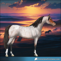 Horse Color:Bay Roan Varnish Rabicano