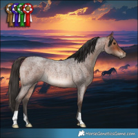 Horse Color:Bay Roan Rabicano 
