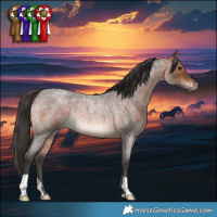 Horse Color:Bay Roan Rabicano 