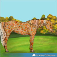 Horse Color:Silver Grullo 