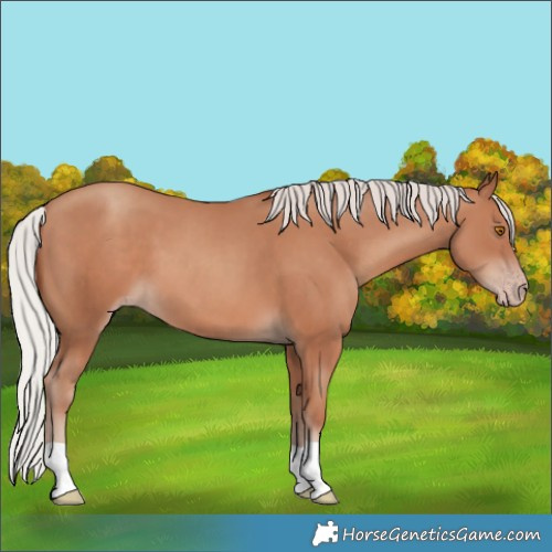 Horse Color:Silver Classic Champagne 