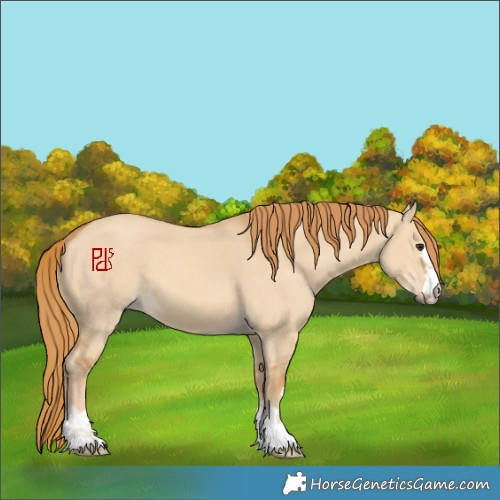 Horse Color:Red Dun