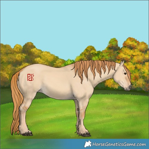 Horse Color:Red Dun