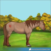 Horse Color:Red Dun