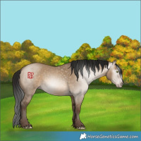 Horse Color:Gray Amber Champagne Dun 