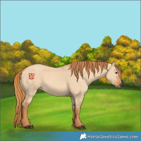 Horse Color:Red Dun