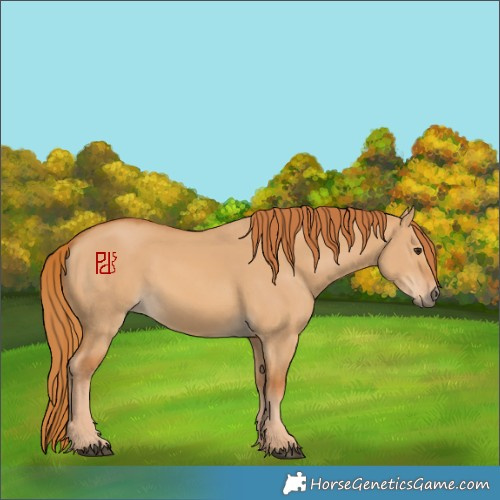 Horse Color:Red Dun 