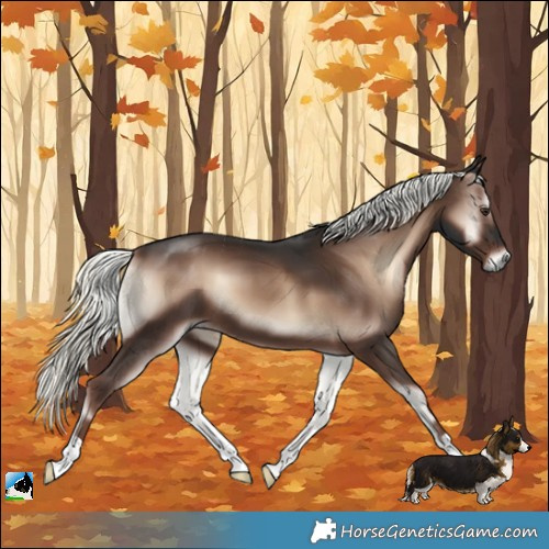 Horse Color:Liver Red Onyx Mushroom 