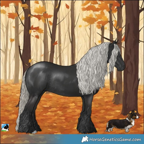Horse Color:Liver Chestnut Mushroom Rabicano