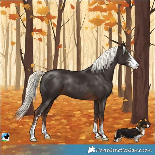 Horse Color:Liver Chestnut Mushroom Sabino 