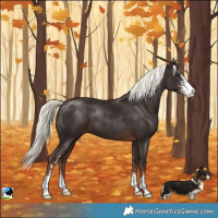 Horse Color:Liver Chestnut Mushroom Sabino