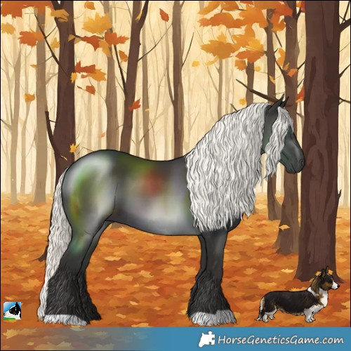 Horse Color:Liver Chestnut Mushroom 