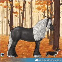 Horse Color:Liver Chestnut Mushroom 