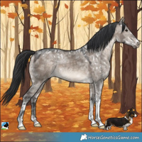 Horse Color:Brown Ice Dun Mushroom Sabino Rabicano