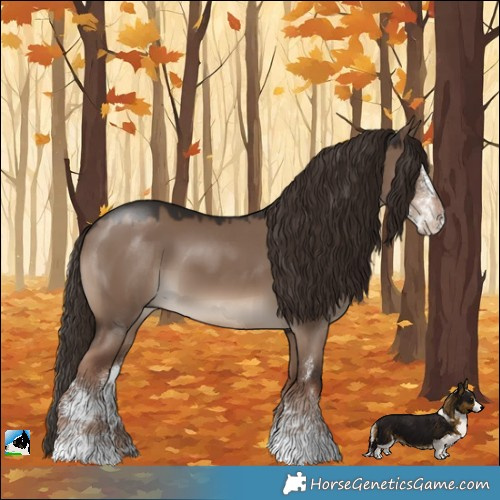 Horse Color:Liver Red Dun Sabino 