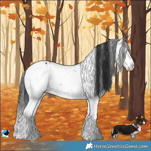 Horse Color:Brown Dun Sabino Rabicano Brindle 