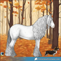 Horse Color:Brown Onyx Mushroom Sabino Rabicano