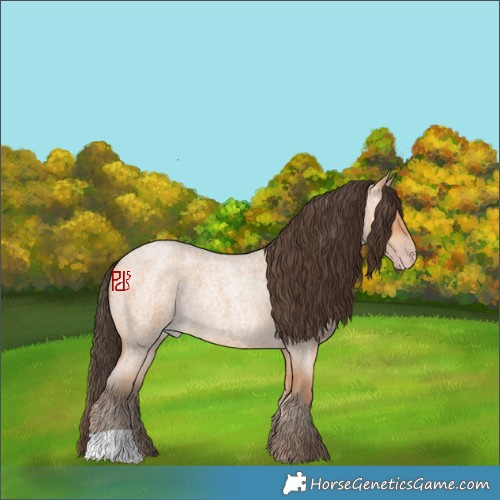 Horse Color:Amber Champagne Roan 