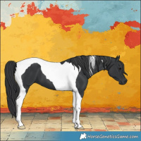 Horse Color:Black Tobiano 