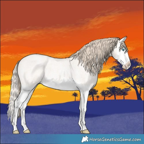 Horse Color:Perlino Roan Splash 