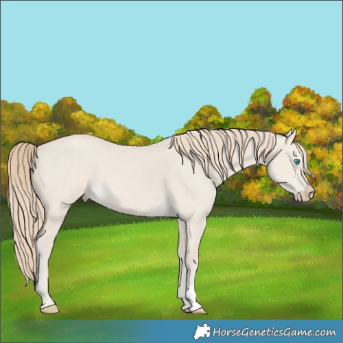 Horse Color:Smoky Creme Dun 