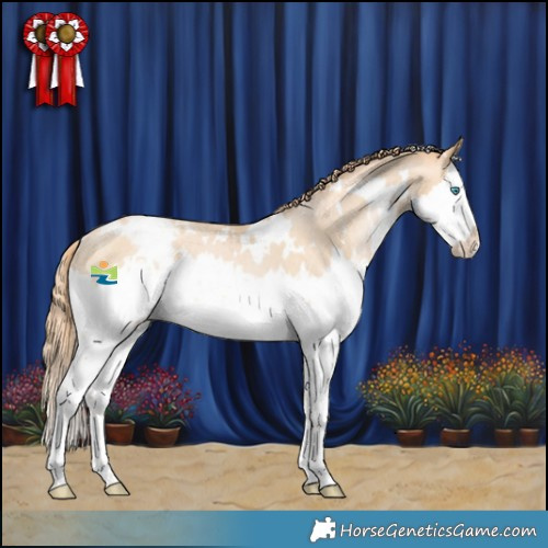 Horse Color:White Spotted Buckskin Snowdrop Splash Varnish Rabicano 