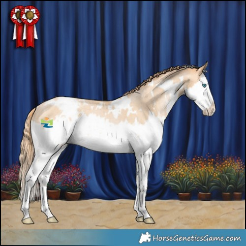 Horse Color:White Spotted Buckskin Snowdrop Splash Appaloosa Rabicano 
