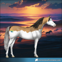 Horse Color:Buckskin Splash 